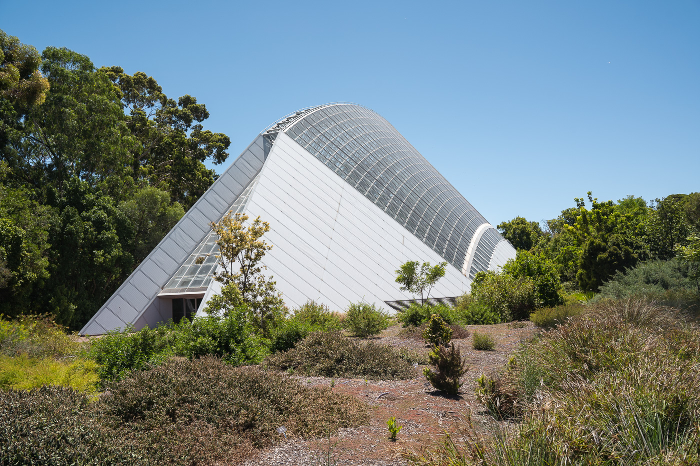 Adelaide Botanical Garden
